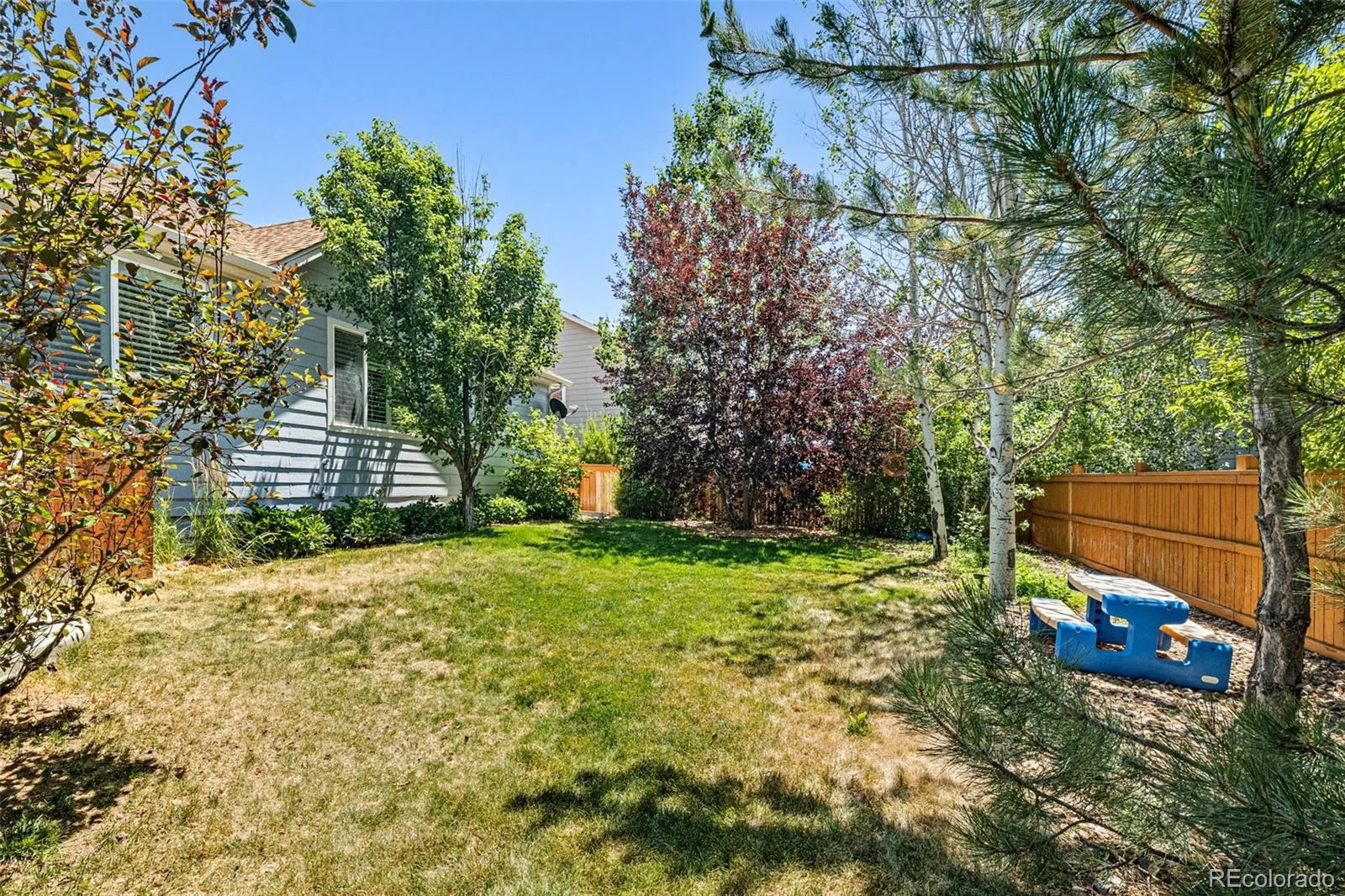 12223 S Buffalo Gap Trail Parker CO 80134 | MLS #REC4877804 08252026185610 1600 22