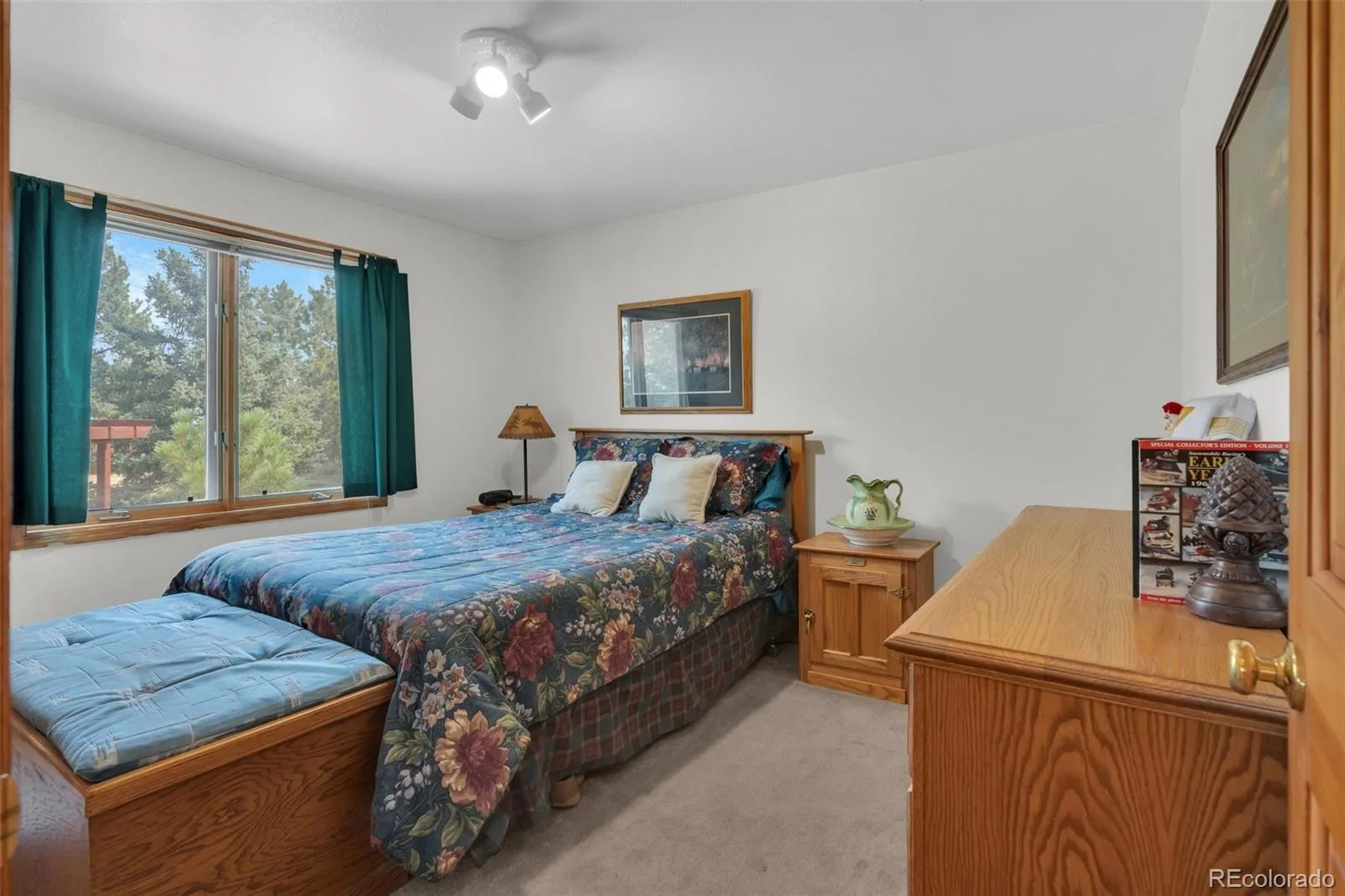915 N Bluff Drive Franktown CO 80116 | MLS #REC4878970 08062026164416 1600 20