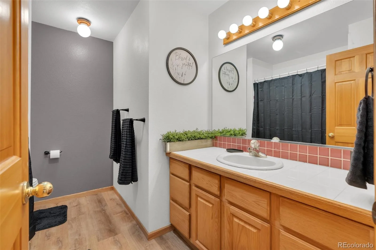 915 N Bluff Drive Franktown CO 80116 | MLS #REC4878970 08062026164416 1600 24