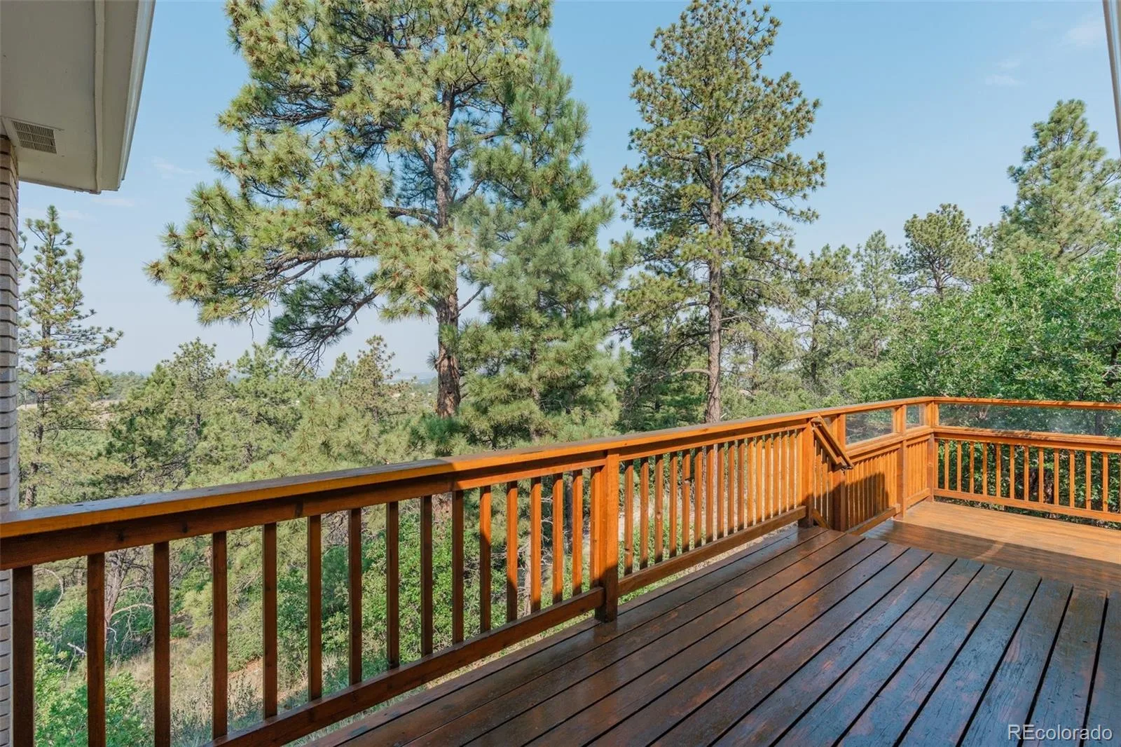 915 N Bluff Drive Franktown CO 80116 | MLS #REC4878970 08062026164416 1600 37