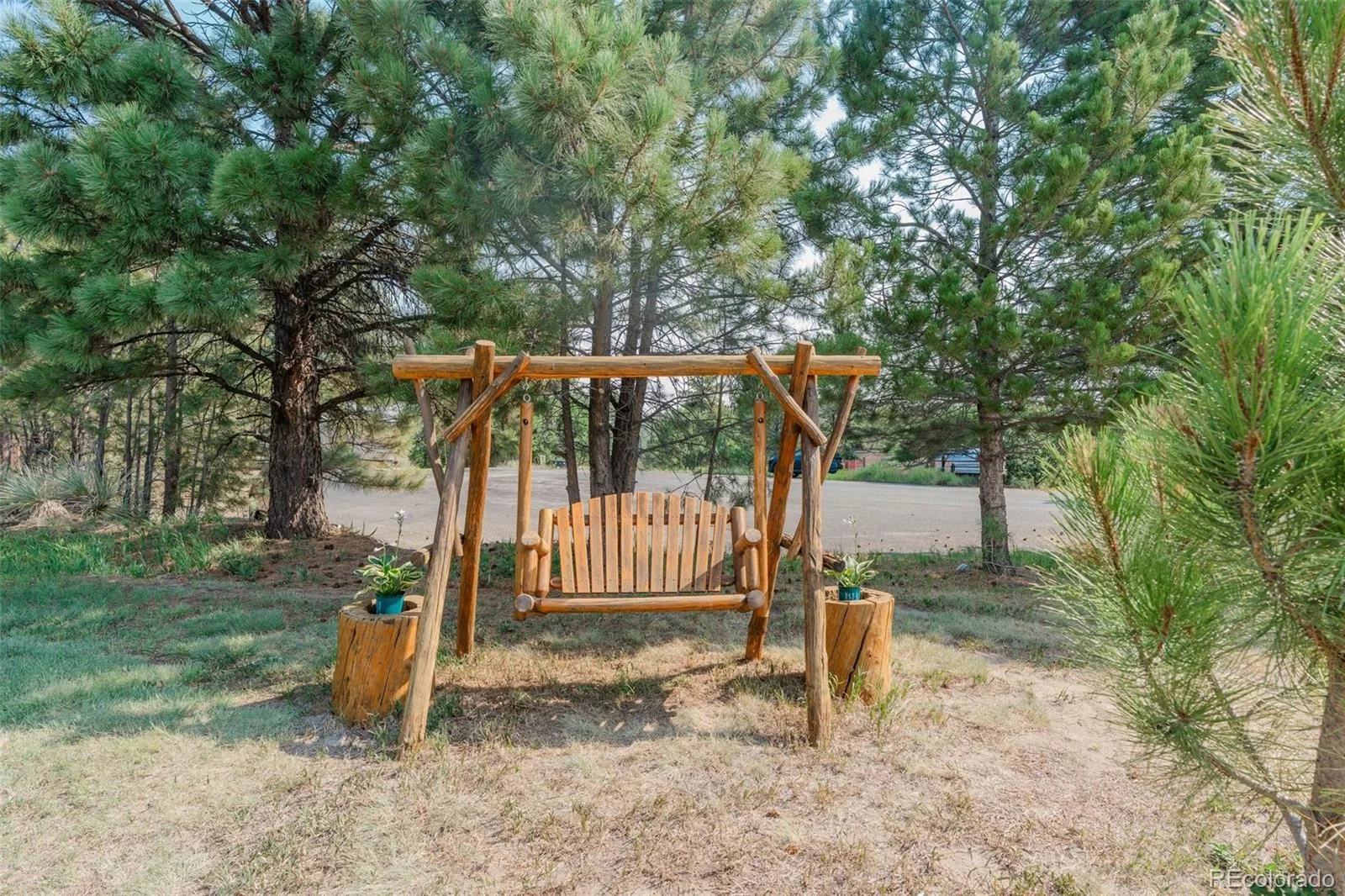 915 N Bluff Drive Franktown CO 80116 | MLS #REC4878970 08062026164416 1600 40
