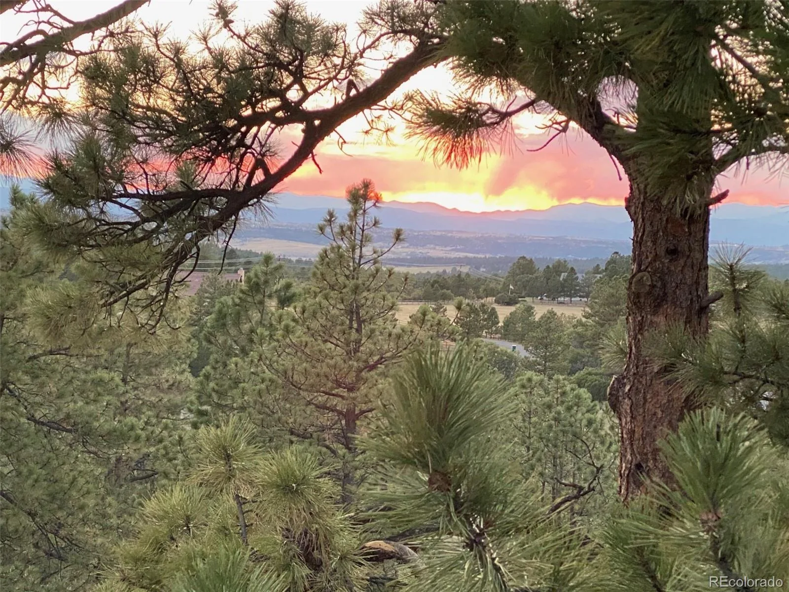 915 N Bluff Drive Franktown CO 80116 | MLS #REC4878970 08062026164416 1600 41