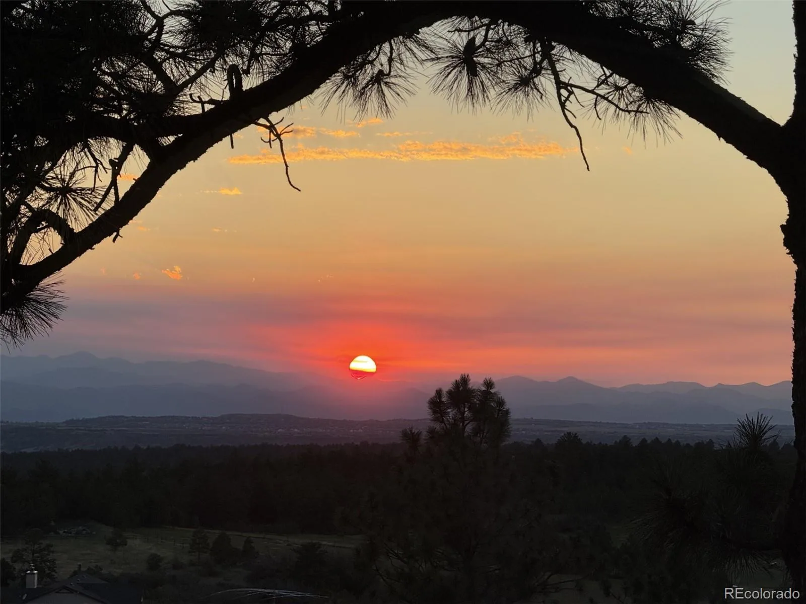 915 N Bluff Drive Franktown CO 80116 | MLS #REC4878970 08062026164416 1600 42