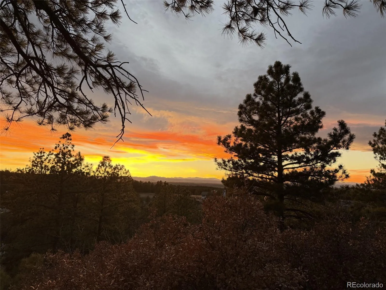 915 N Bluff Drive Franktown CO 80116 | MLS #REC4878970 08062026164416 1600 43