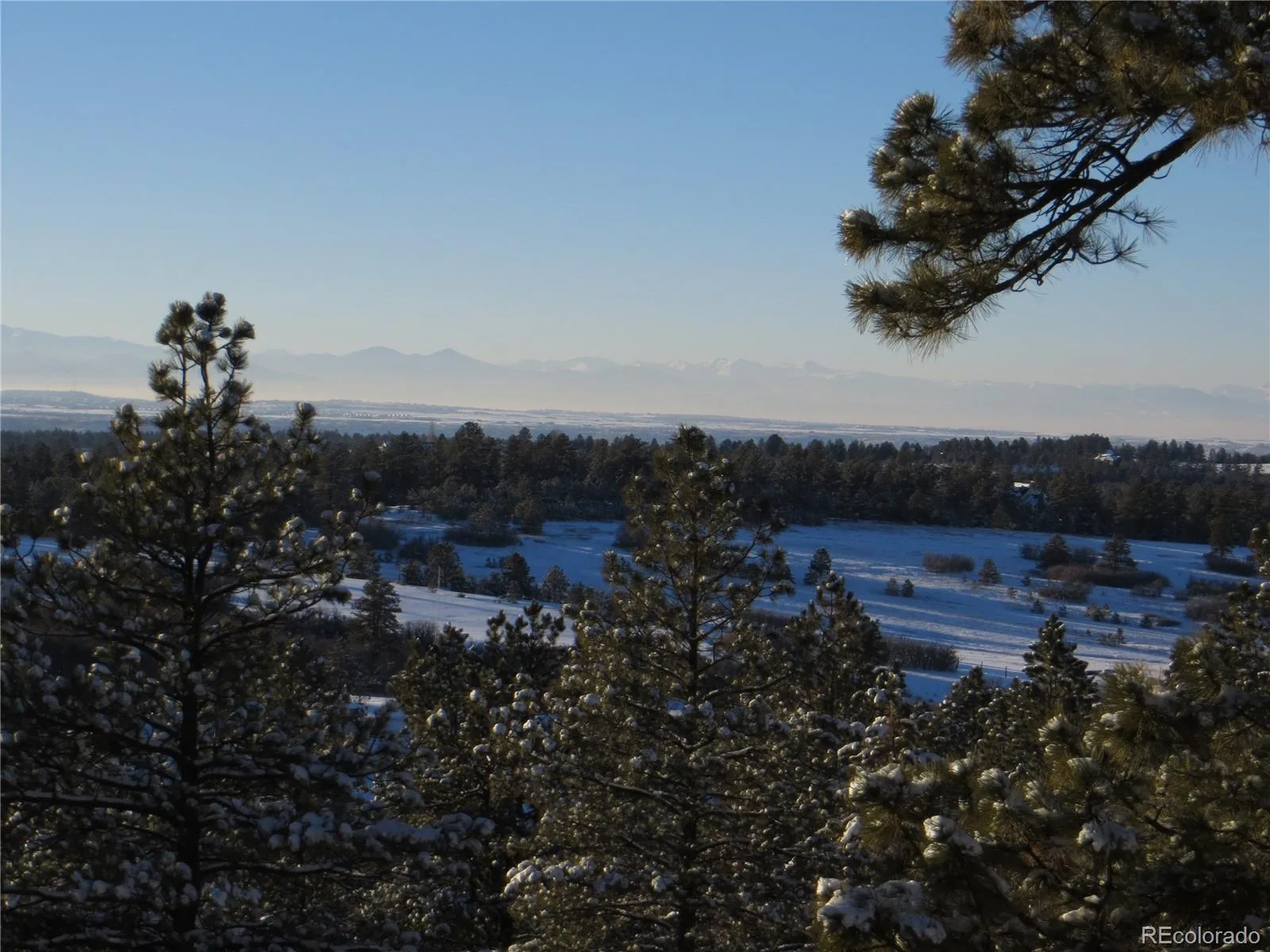 915 N Bluff Drive Franktown CO 80116 | MLS #REC4878970 08062026164416 1600 45