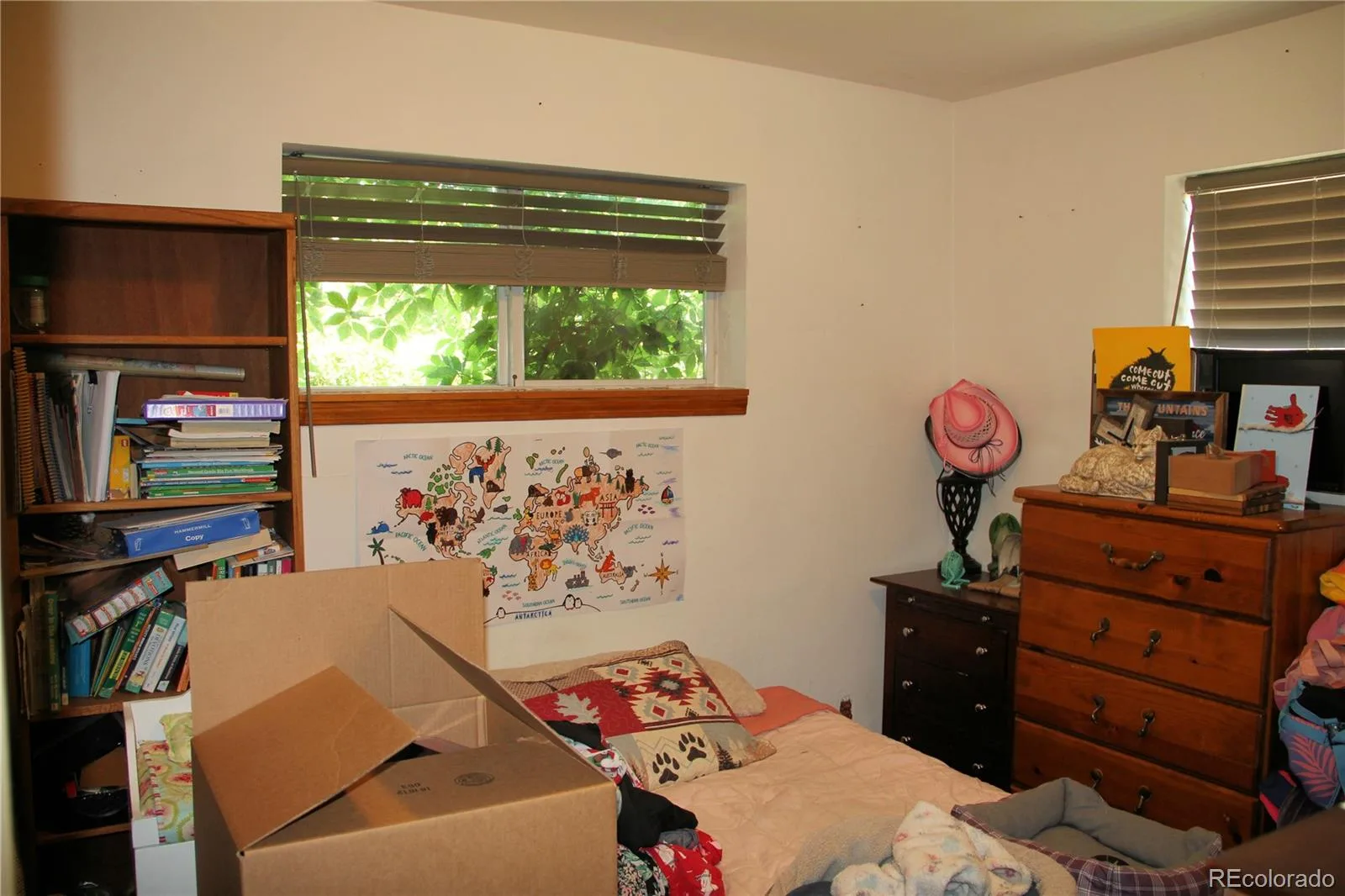8980 Hickory Place Denver CO 80229 | MLS #REC4896086 06302026220554 1600 17