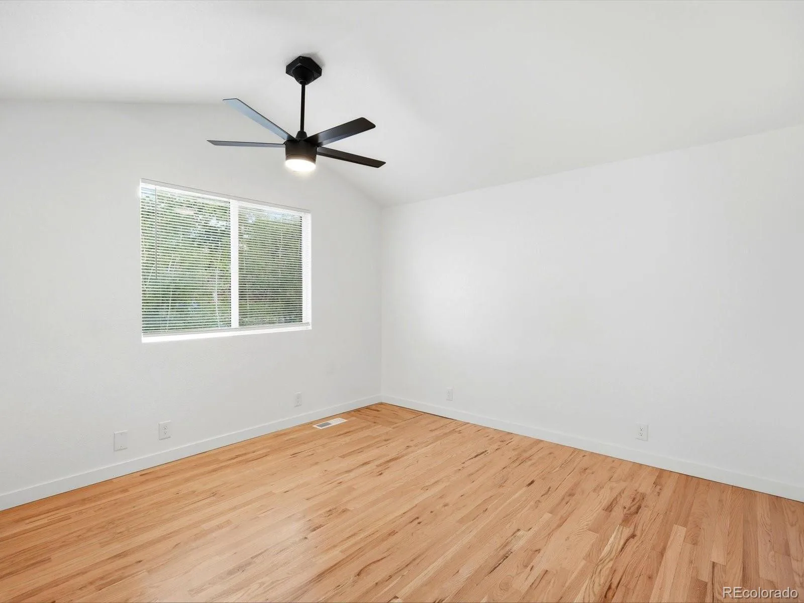 2451 S Holly Place Denver CO 80222 | MLS #REC4896463 08212026181849 1600 24