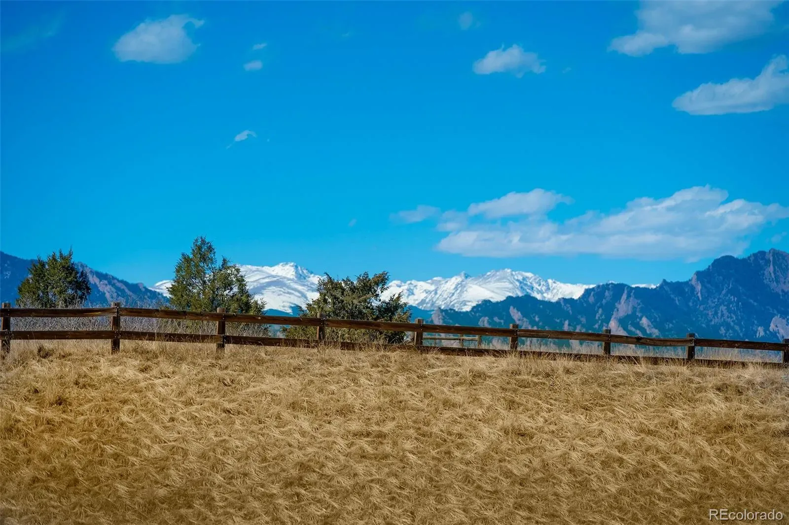 03092026220726 1600 14