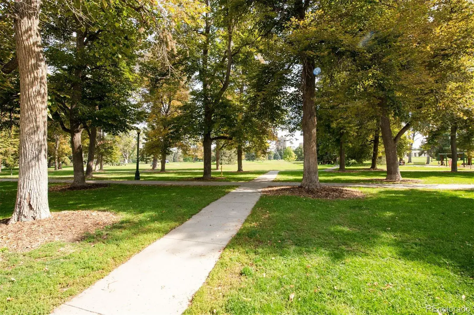 01062026001805 1600 35