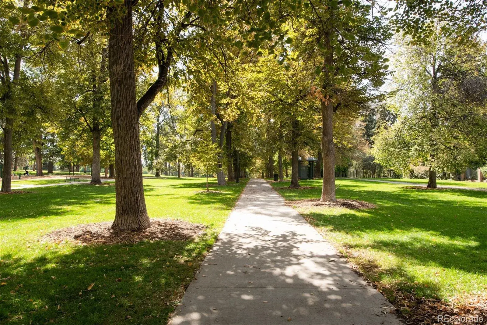 01062026001805 1600 36