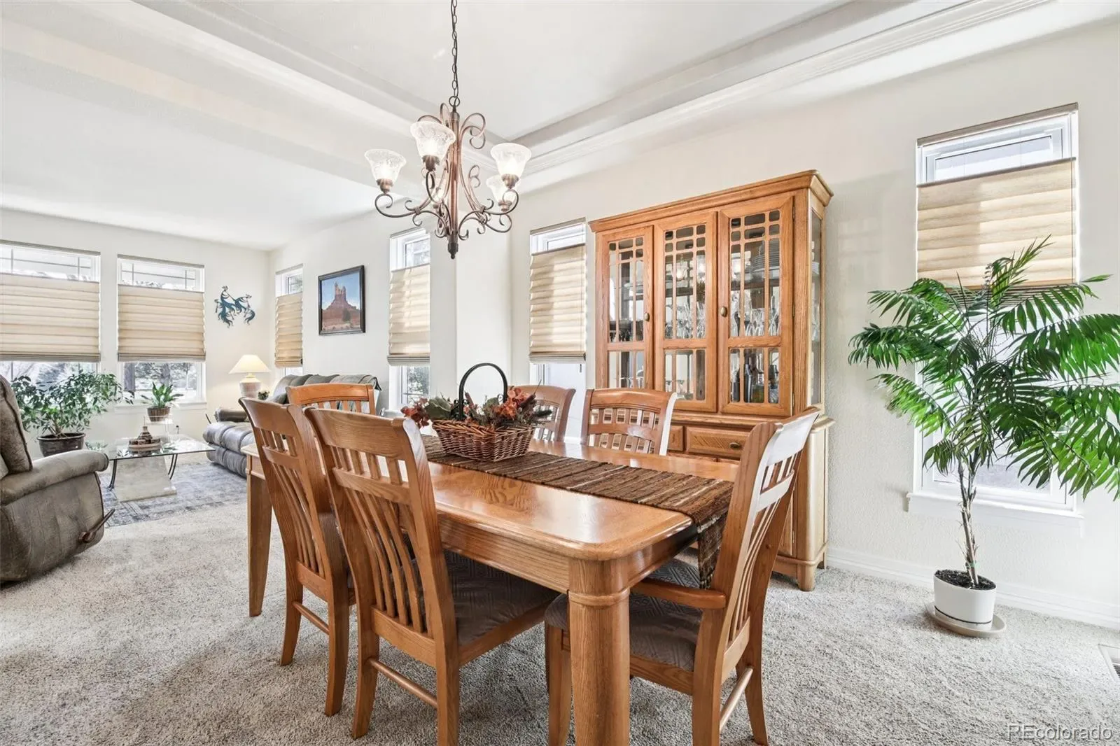 03202026201853 1600 12