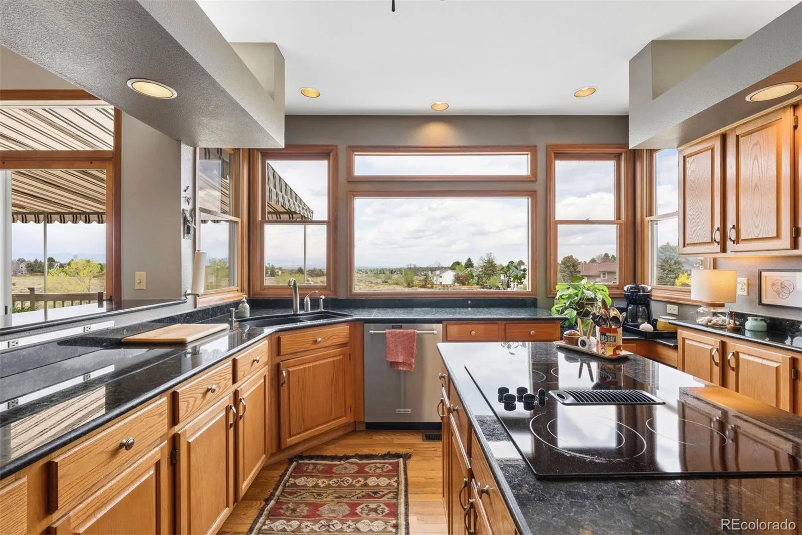 9510 Harford Court Highlands Ranch CO 80126 MLS #REC4903638 05052026040918 1600 10