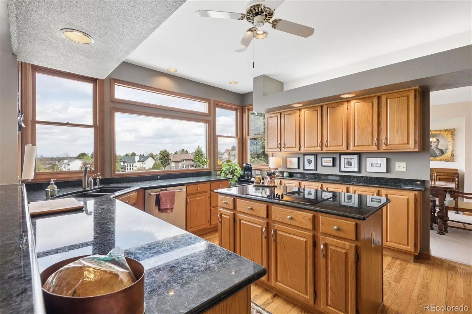 9510 Harford Court Highlands Ranch CO 80126 MLS #REC4903638 05052026040918 1600 11