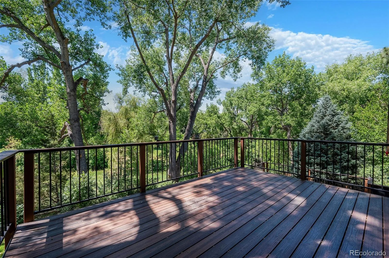 2434 Park Lane Littleton CO 80120 MLS #REC4905612 07082026201251 1600 1