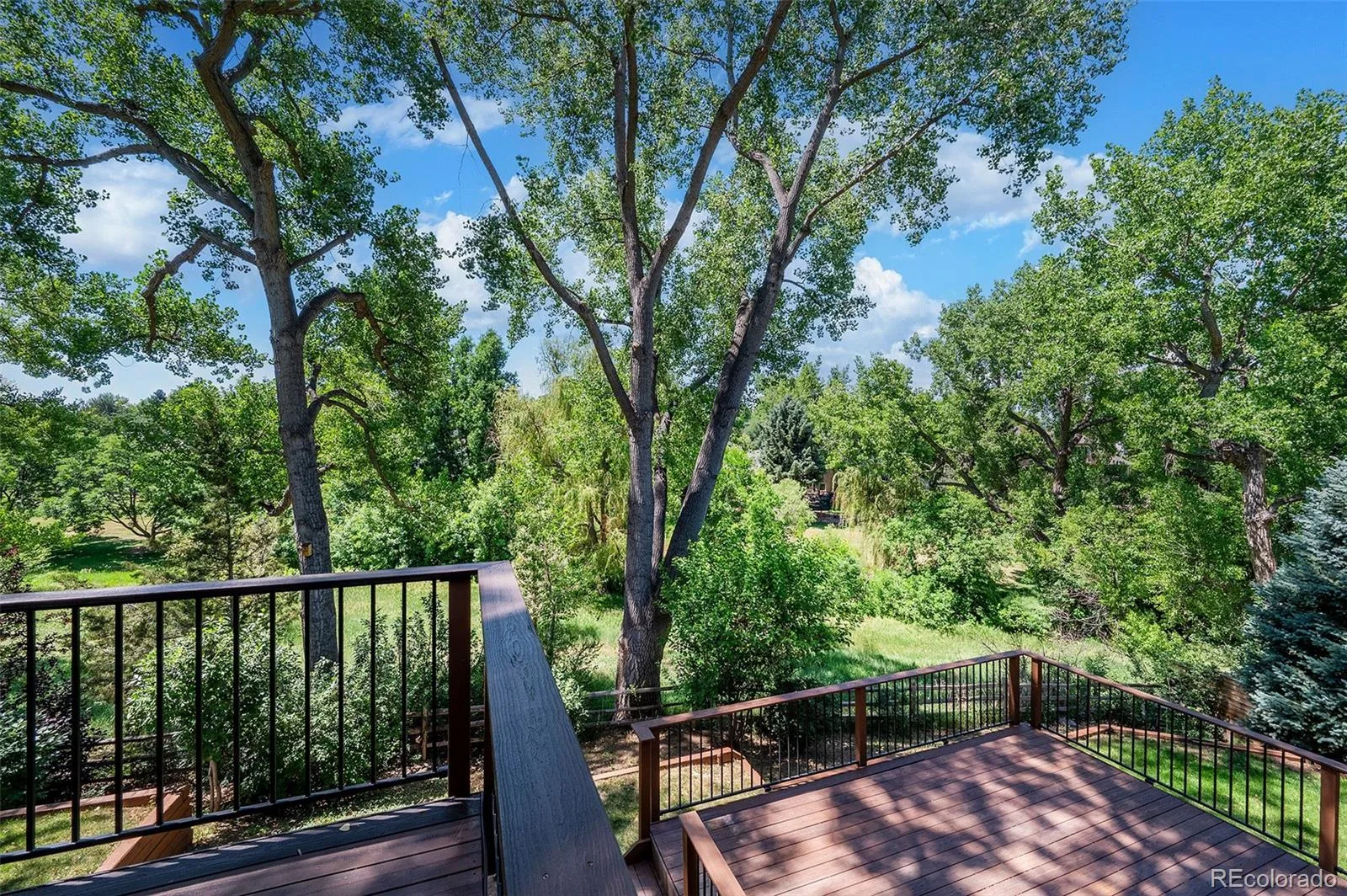 2434 Park Lane Littleton CO 80120 MLS #REC4905612 07082026201251 1600 17