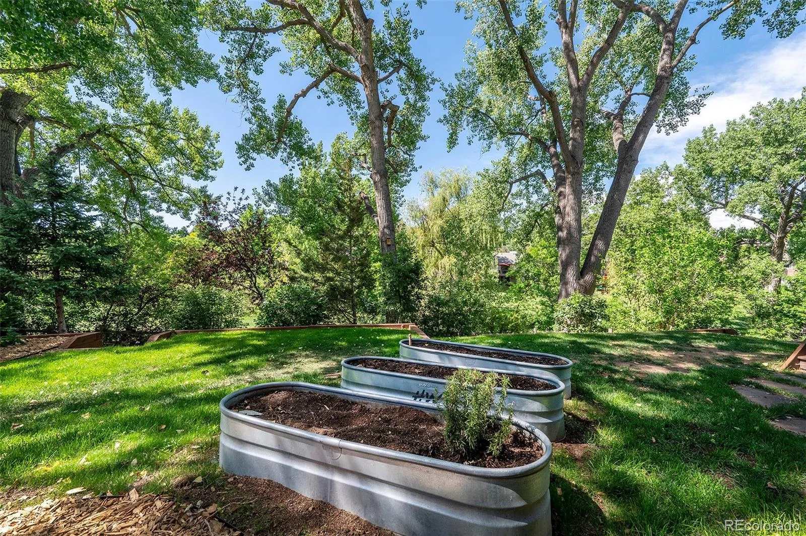 2434 Park Lane Littleton CO 80120 MLS #REC4905612 07082026201251 1600 37