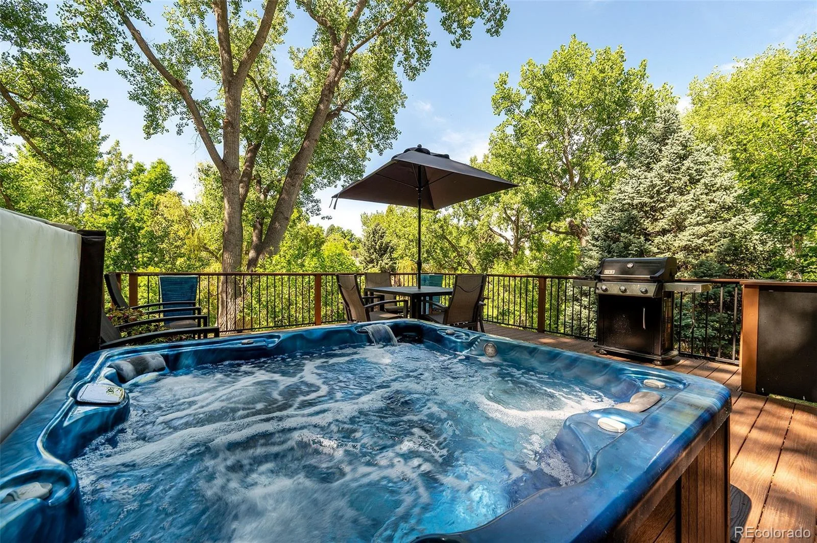 2434 Park Lane Littleton CO 80120 MLS #REC4905612 07082026201251 1600 4