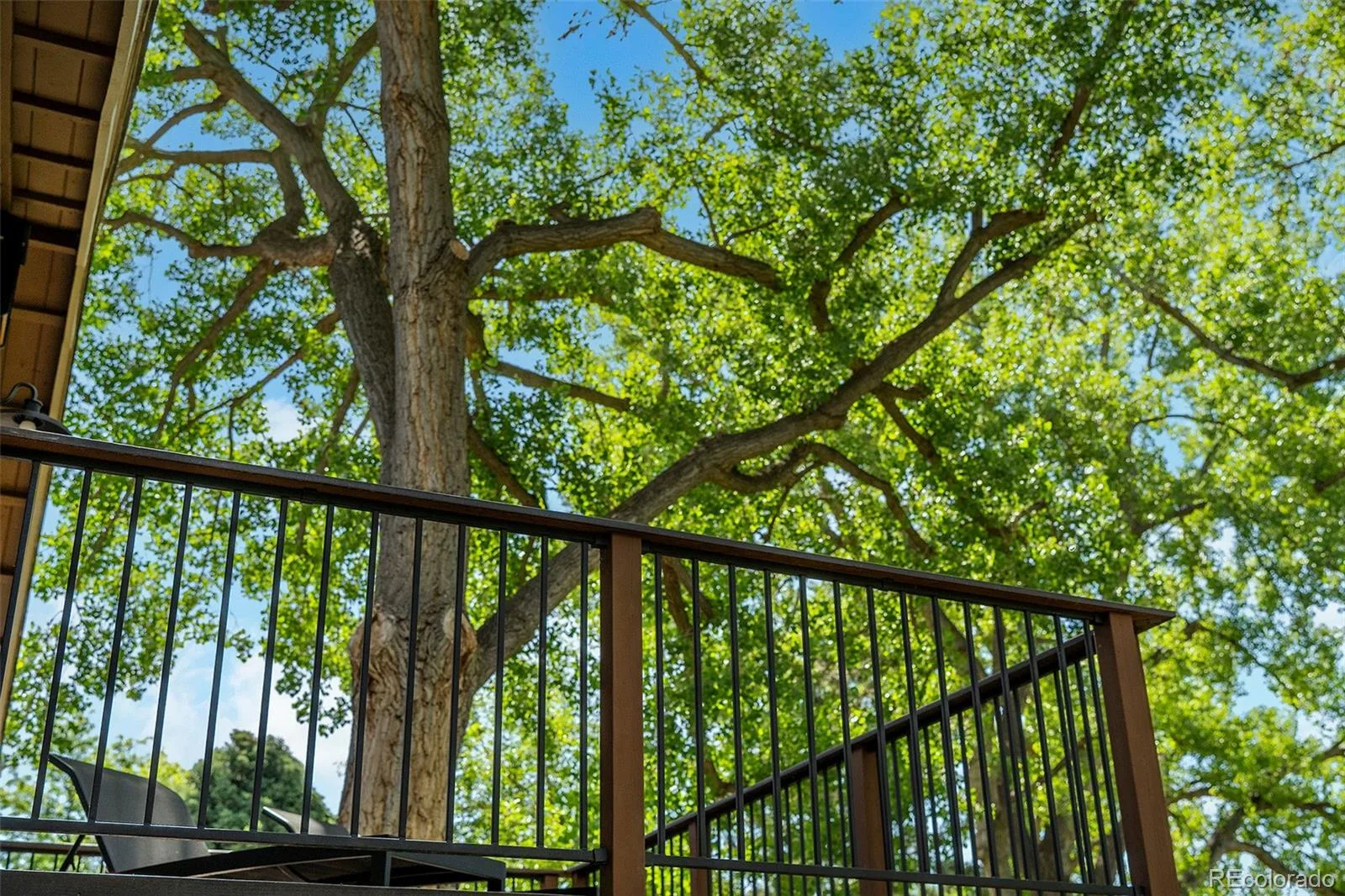 2434 Park Lane Littleton CO 80120 MLS #REC4905612 07082026201251 1600 41