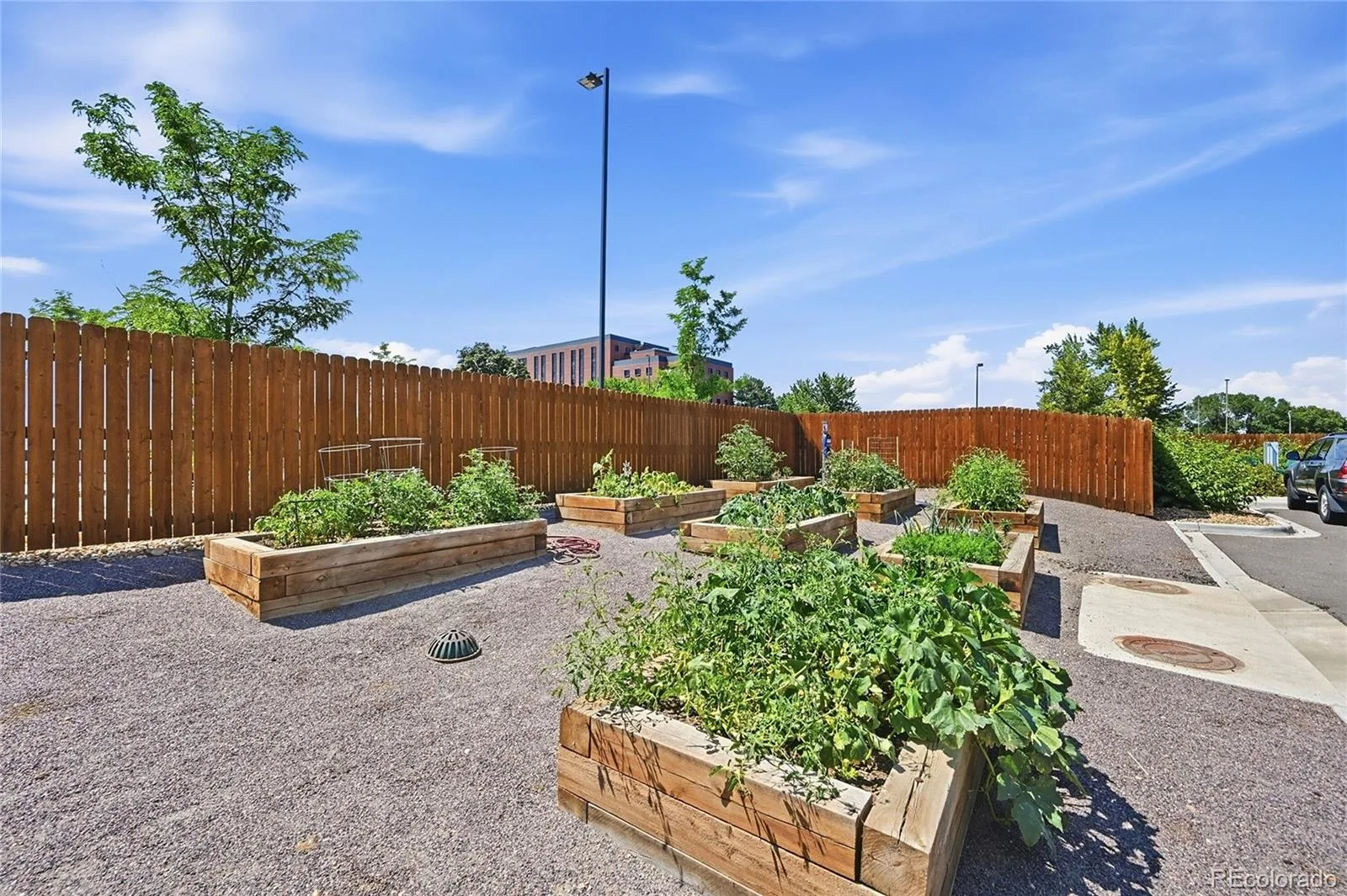 4045 S Teller Street Denver CO 80235 | MLS #REC4907461 07162026224723 1600 26