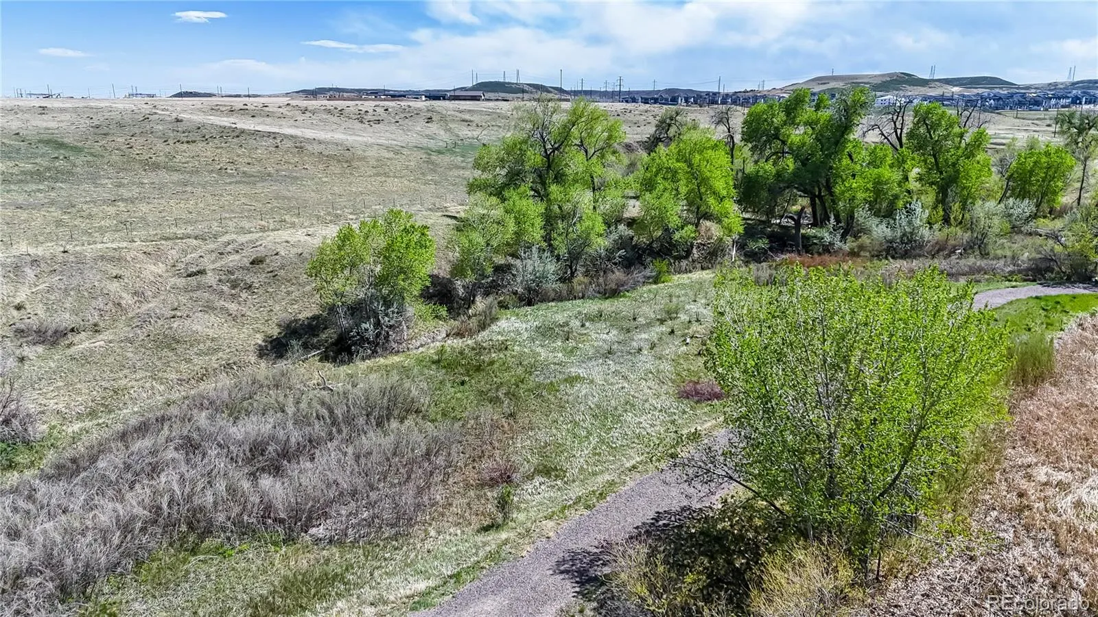 10319 Nottingham Drive Parker CO 80134 MLS #REC4907847 05142026220815 1600 36