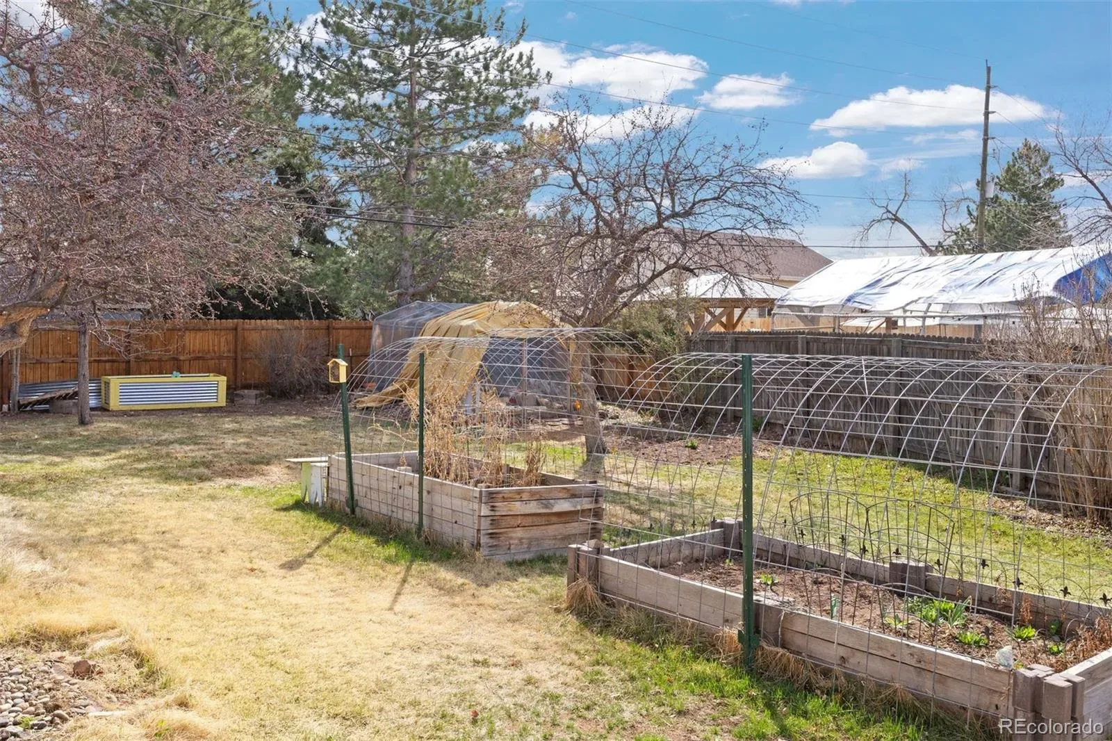 03242026222559 1600 29