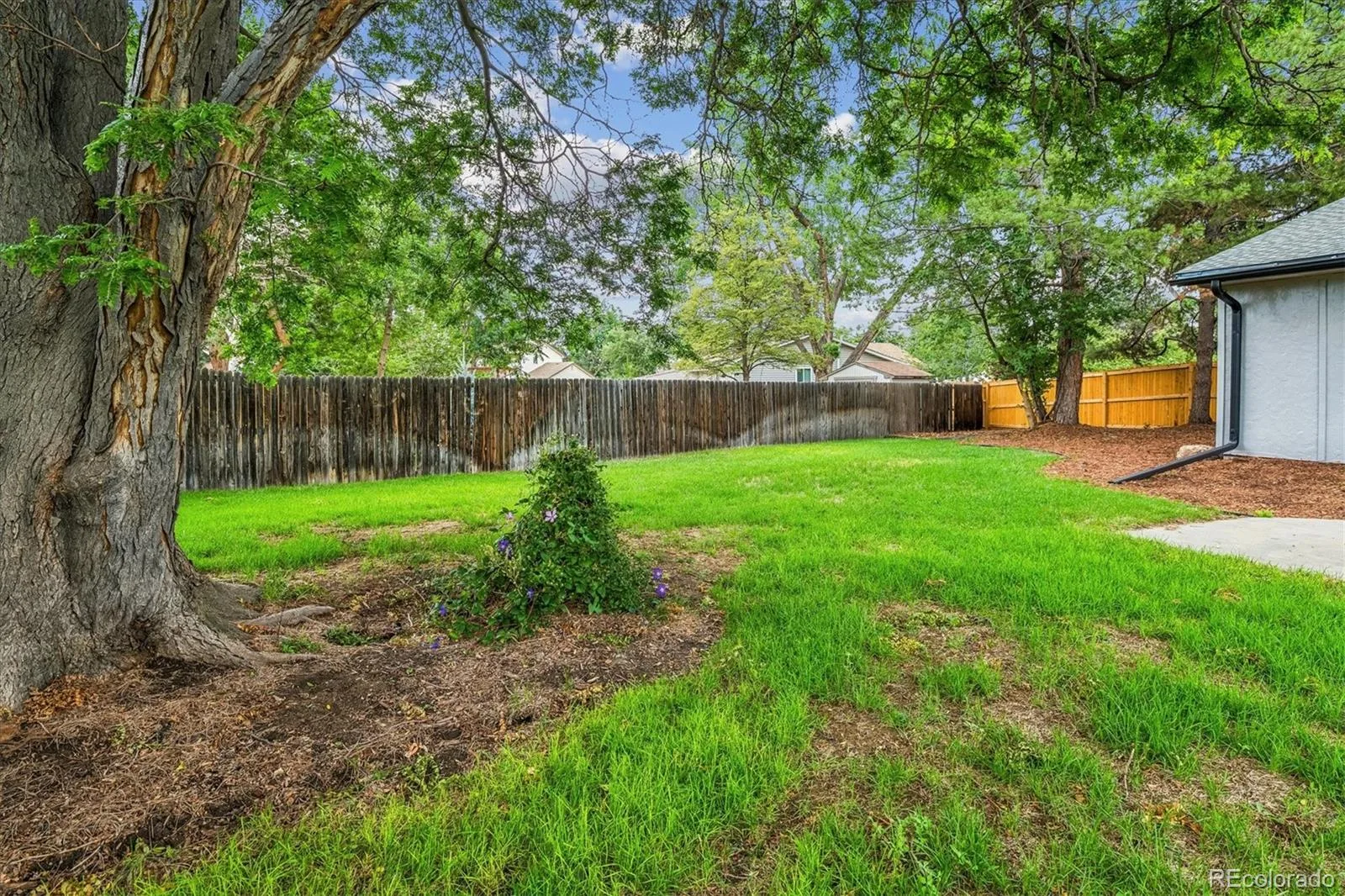 8656 W 84th Circle Arvada CO 80005 MLS #REC4913842 07102026014708 1600 43