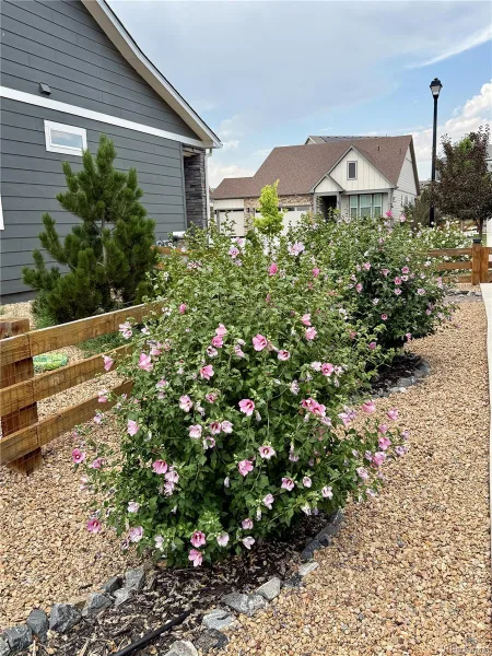 7758 E 157th Avenue Thornton CO 80602 | MLS #REC4915077 08012026210202 800 23