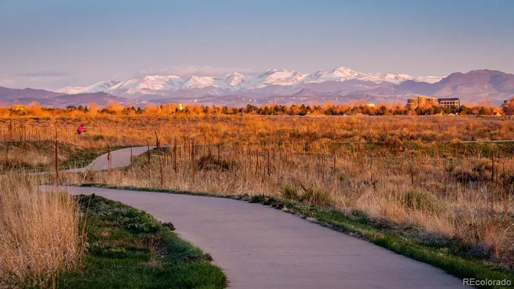 02242026213211 1024 11