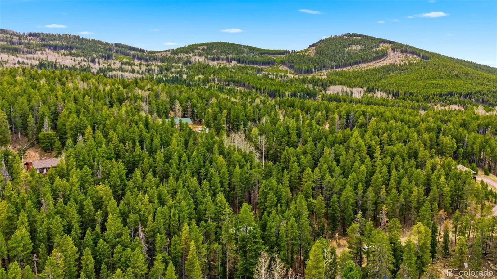154 Apache Road Evergreen CO 80439 | MLS #REC4923069 06222026140819 1600 22