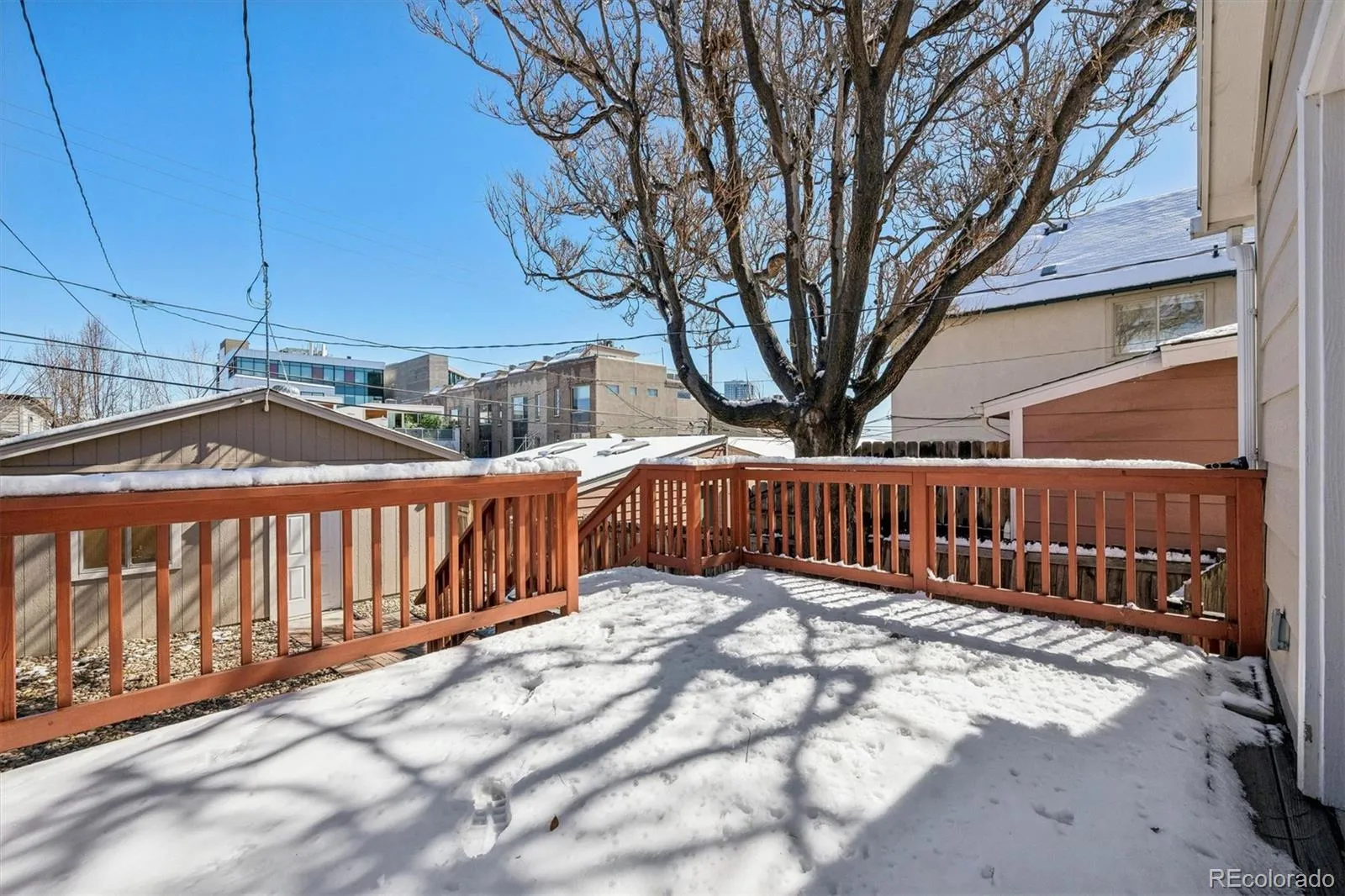 04152026202849 1600 25