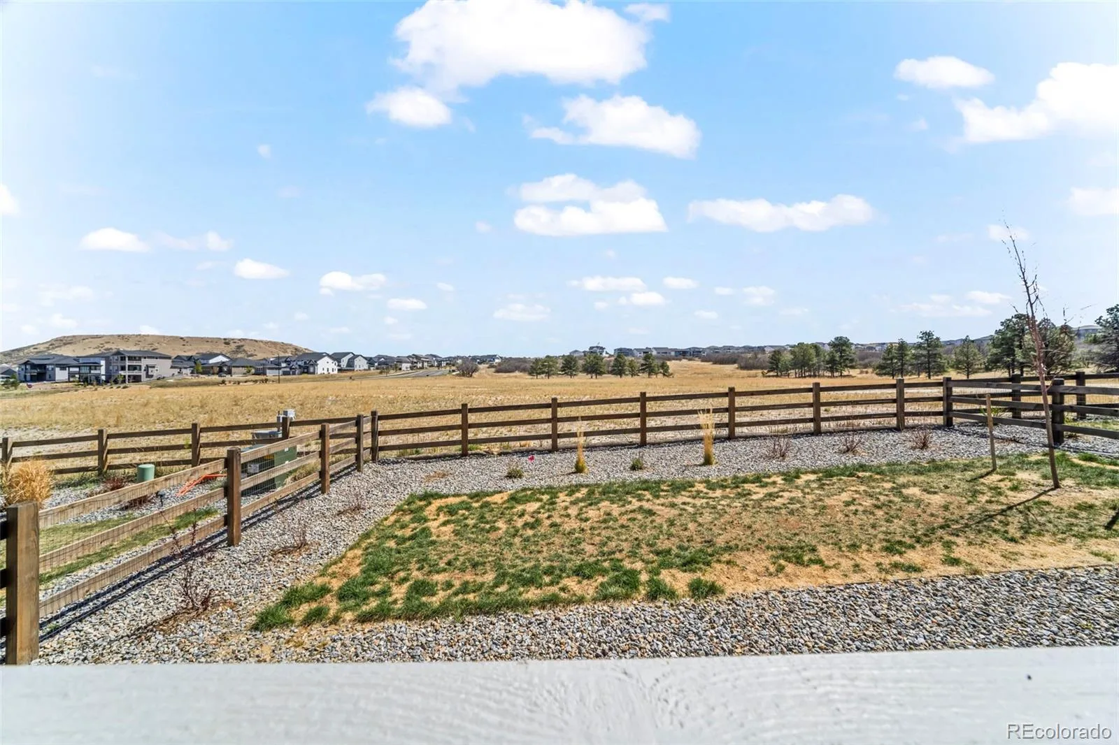 815 Simmental Loop Castle Rock CO 80104 | MLS #REC4930162 07292026185548 1600 29