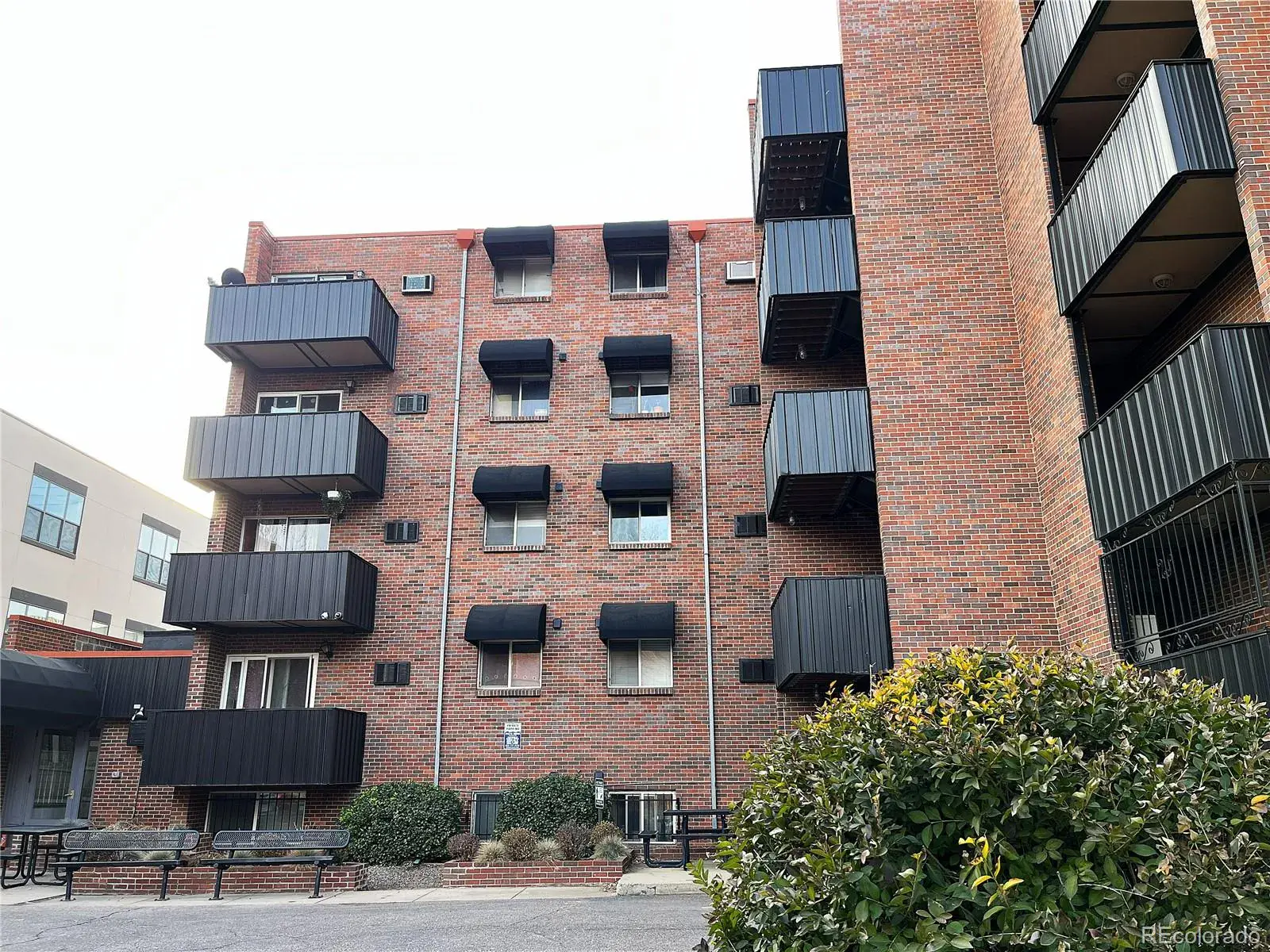 1833 N Williams Street #401 Denver CO 80218 MLS #REC4940176 02122026181336 1600 19