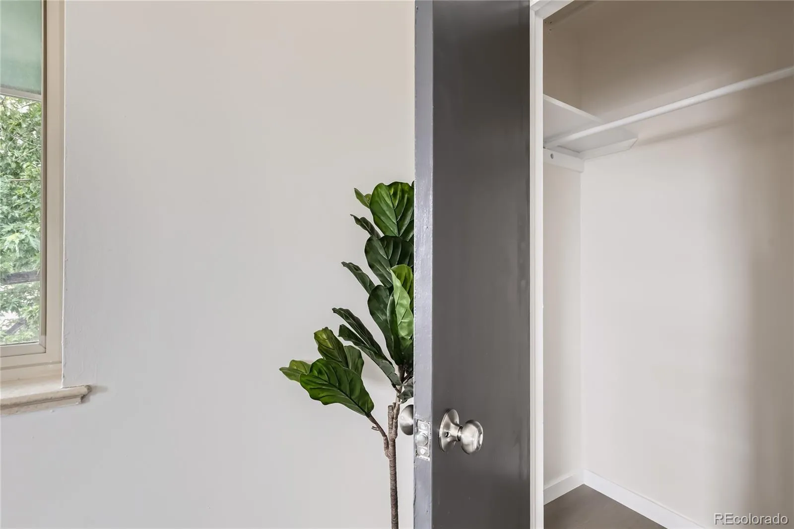 2100 N Franklin Street #20 Denver CO 80205 MLS #REC4943107 05092026023954 1600 8