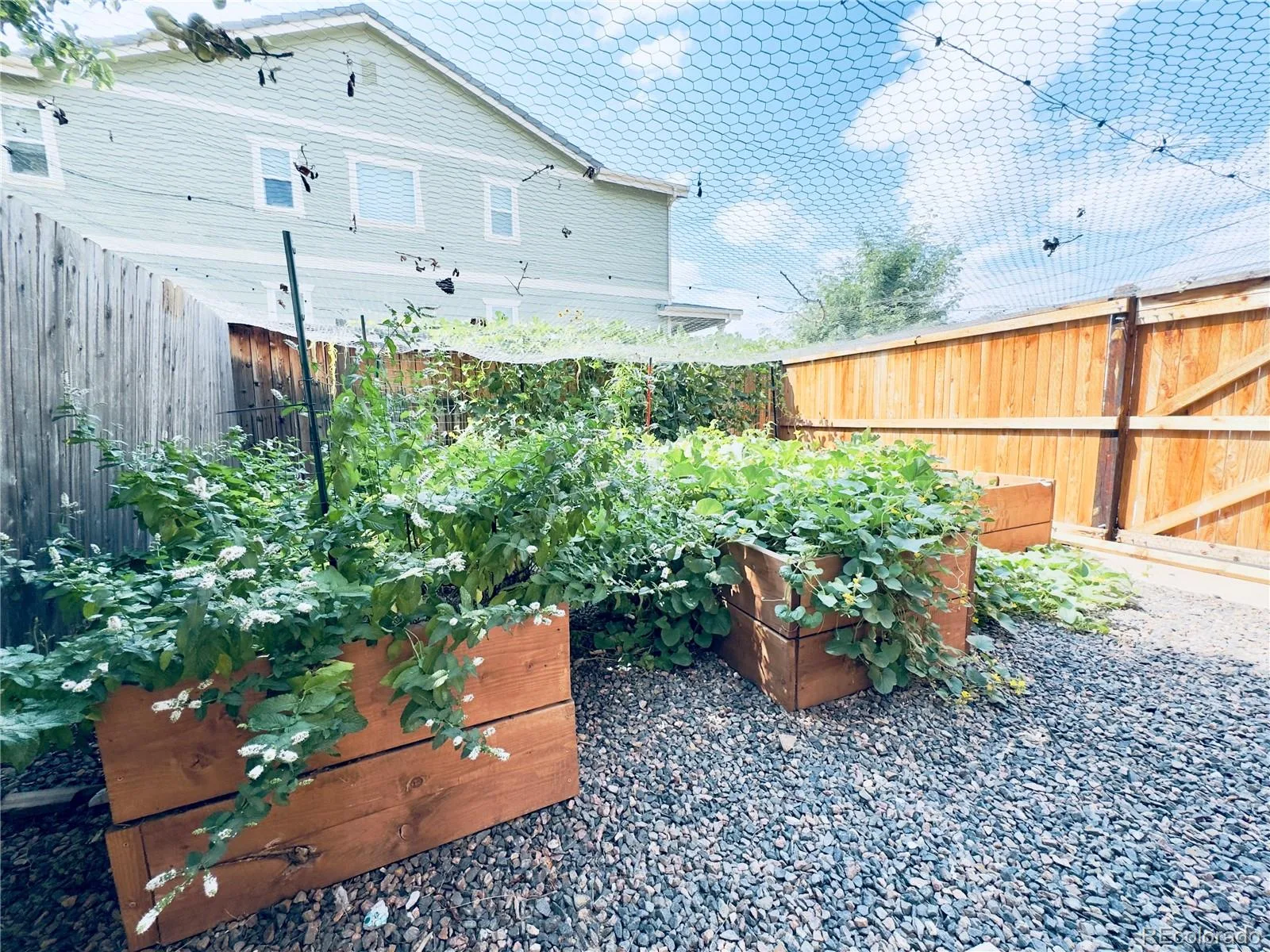 4680 Hopper Place Brighton CO 80601 | MLS #REC4950617 08192026023550 1600 30