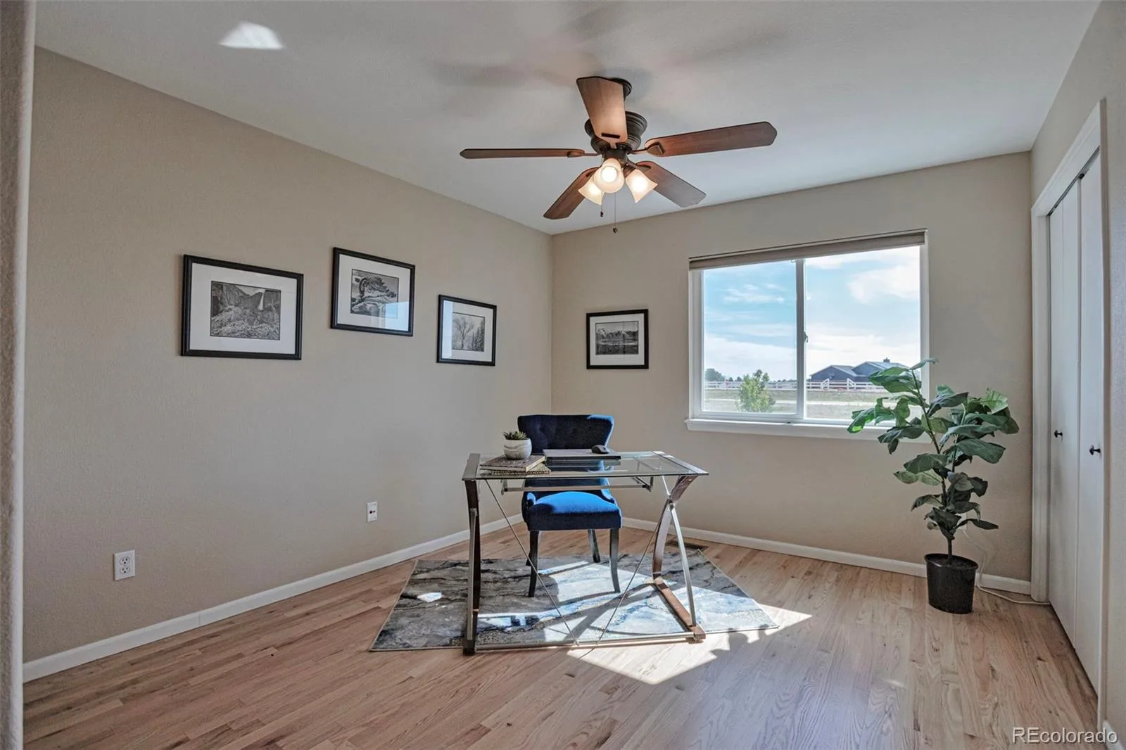 1740 Territory Circle Parker CO 80138 | MLS #REC4951858 08192026152951 1600 16