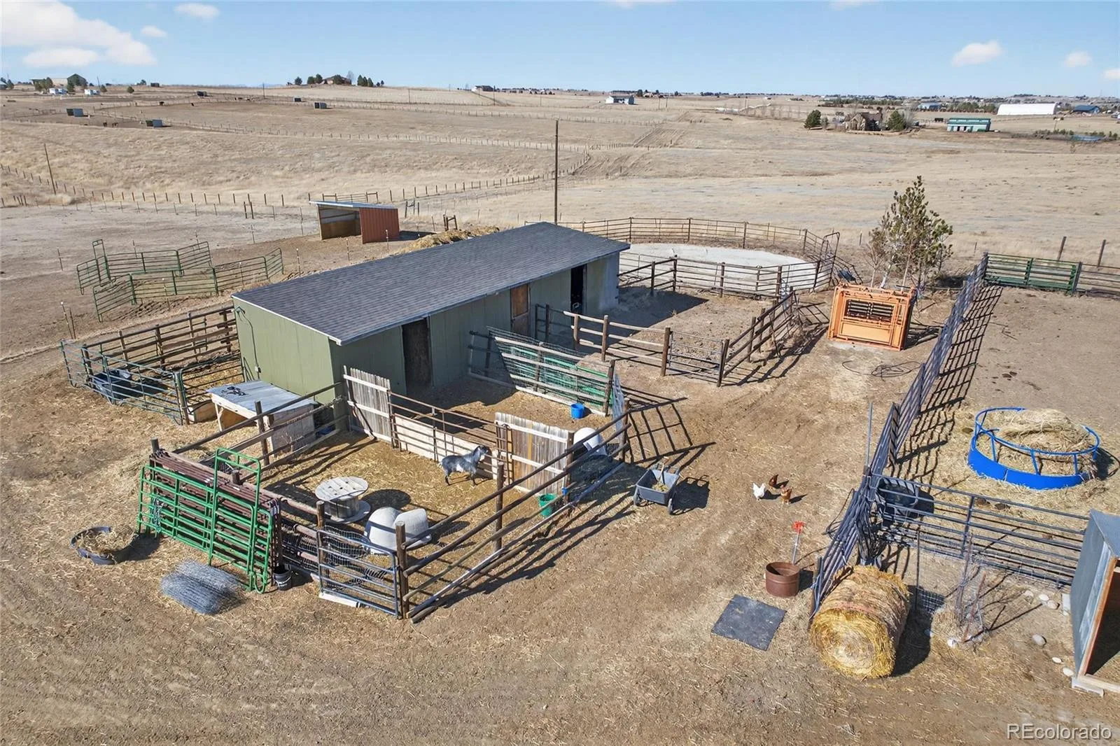 42812 Ricki Drive Parker CO 80138 | MLS #REC4954094 08082026041750 1600 35