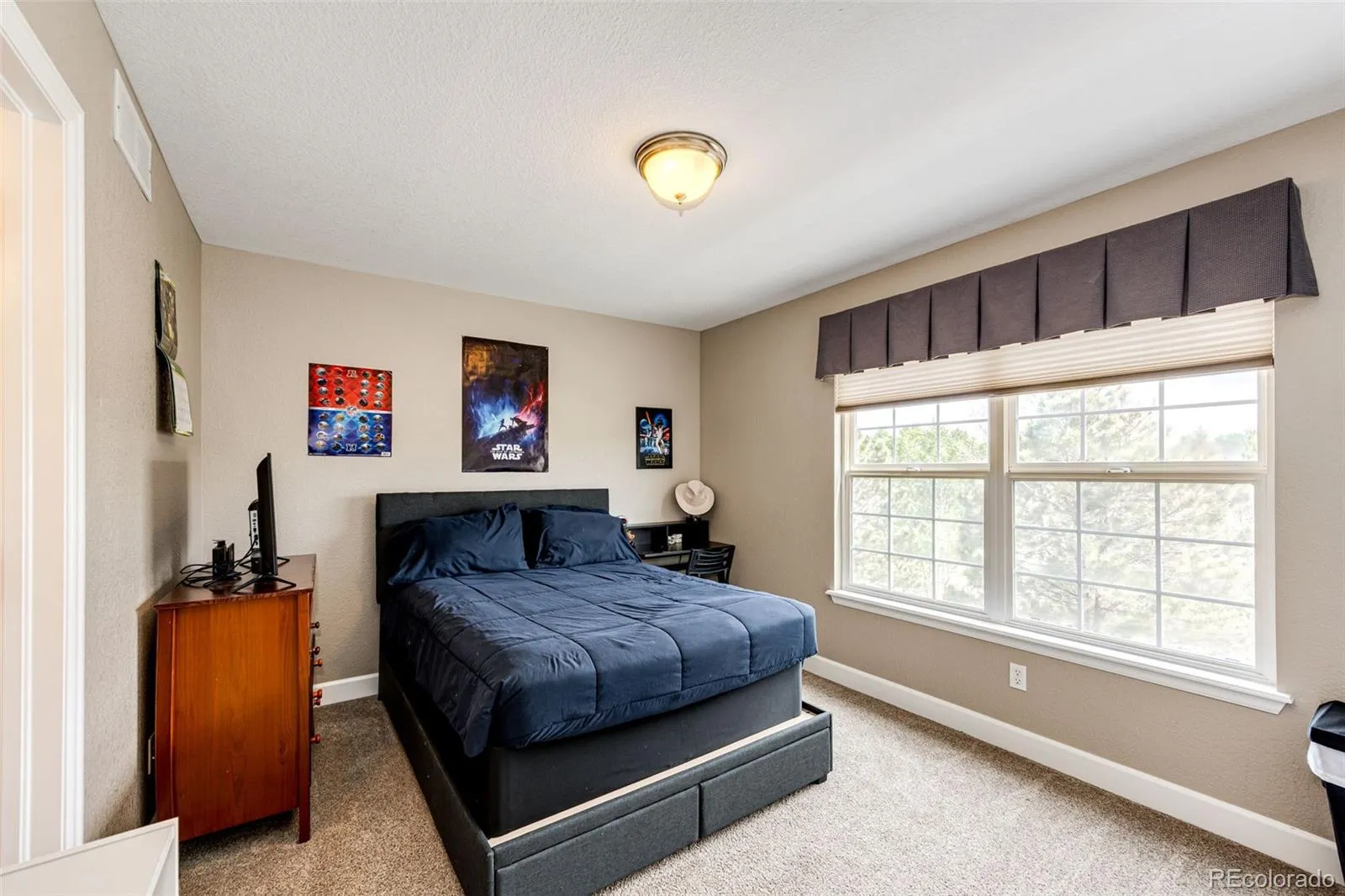 9624 Shenstone Drive Parker CO 80134 MLS #REC4954944 05152026085356 1600 25