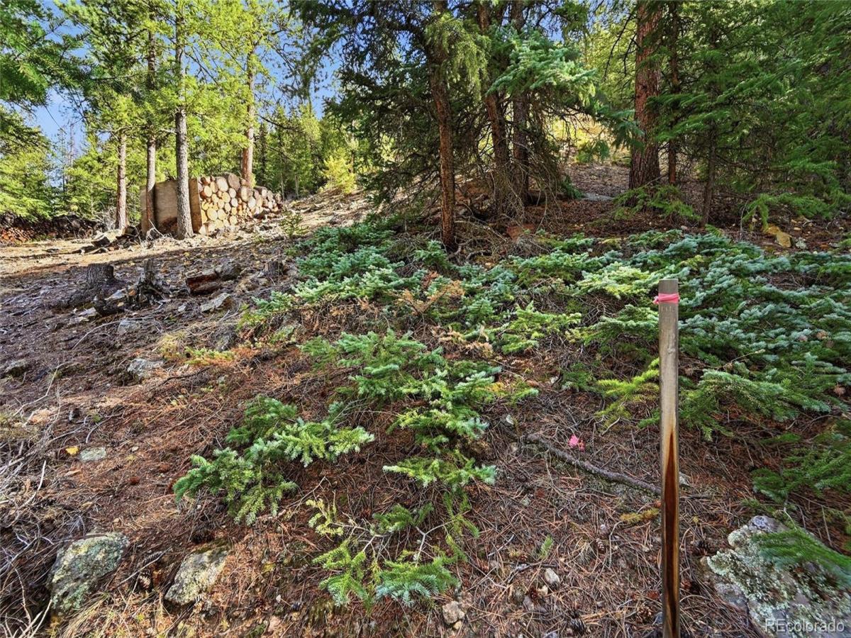 MLS #REC4956729 image #0