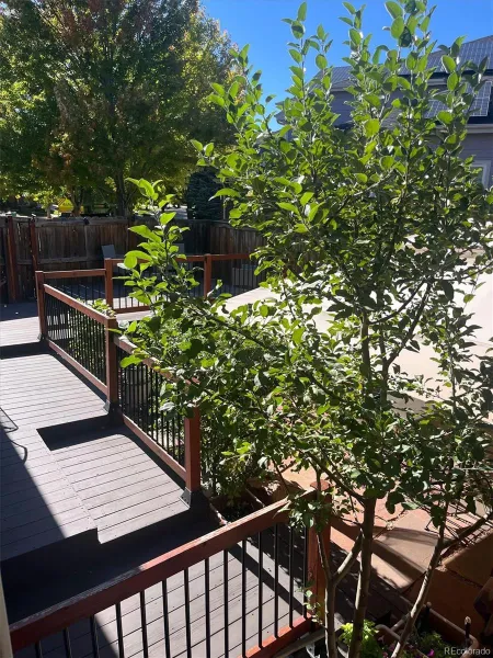 5524 W Ida Drive Littleton CO 80123 MLS #REC4958257 05082026154307 800 45