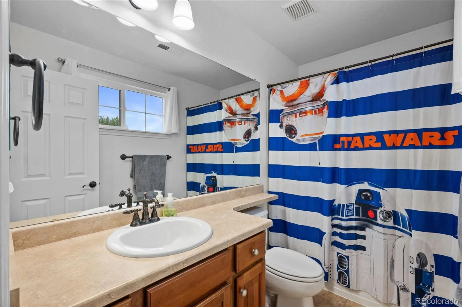 7245 Obsidian Lane Castle Rock CO 80108 | MLS #REC4965243 08172026160635 1600 20