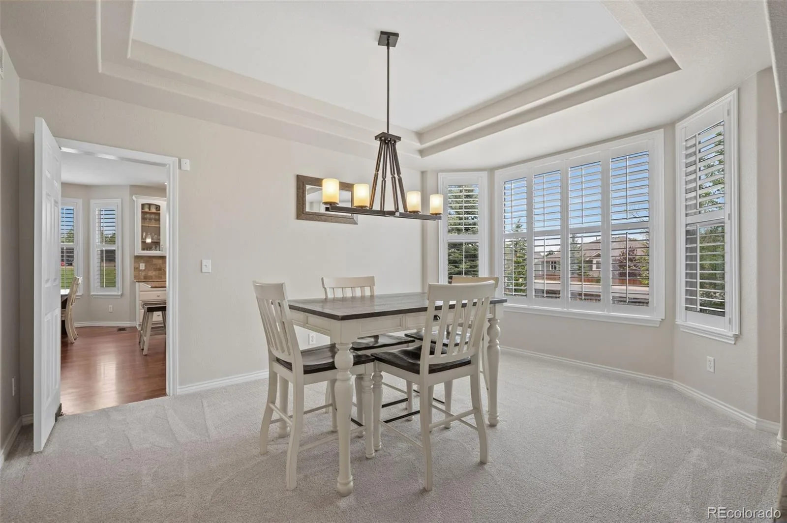 7245 Obsidian Lane Castle Rock CO 80108 | MLS #REC4965243 08172026160635 1600 4
