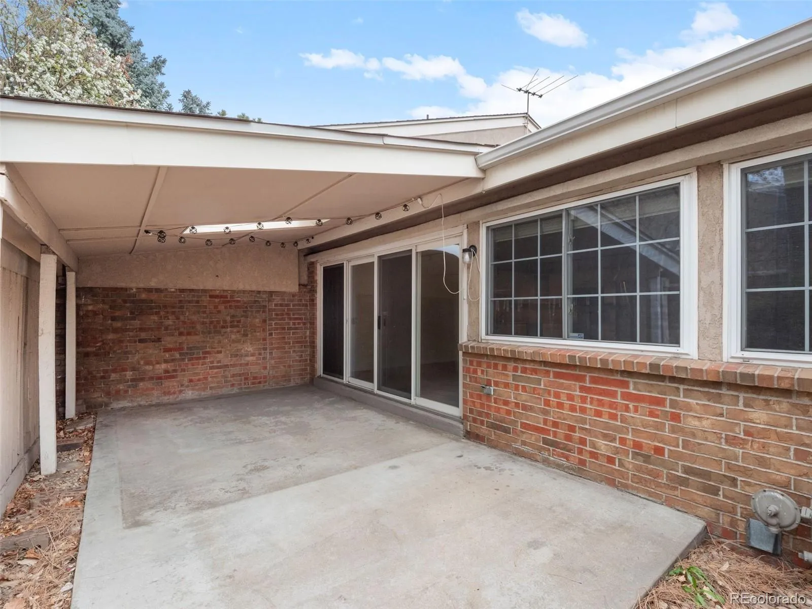 04012026133554 1600 24