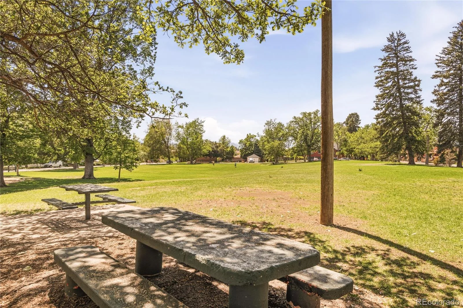 4734 W 33rd Avenue Denver CO 80212 | MLS #REC4972764 08212026215006 1600 30