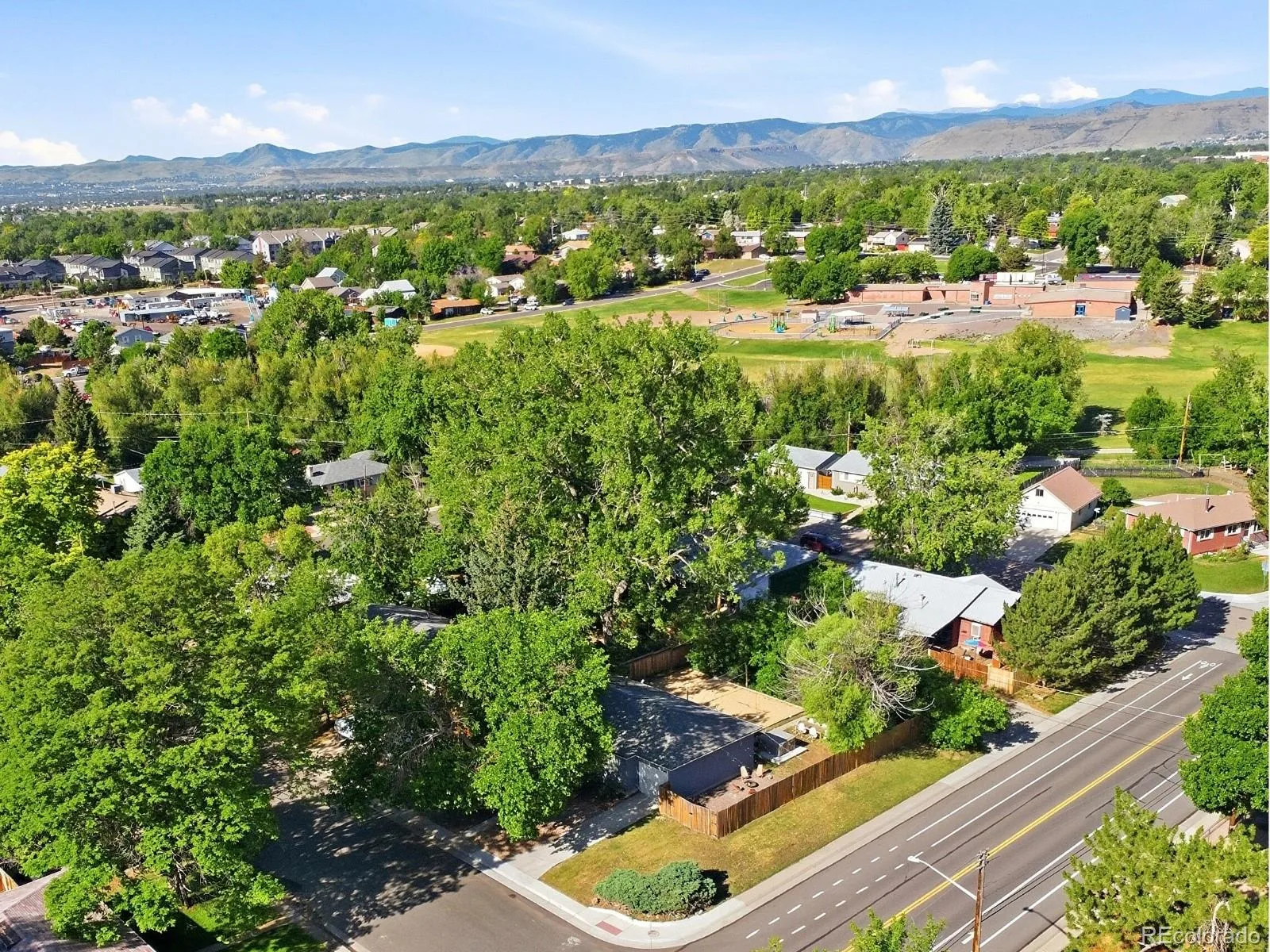 6593 Moore Street Arvada CO 80004 MLS #REC4973071 06182026232651 1600 2
