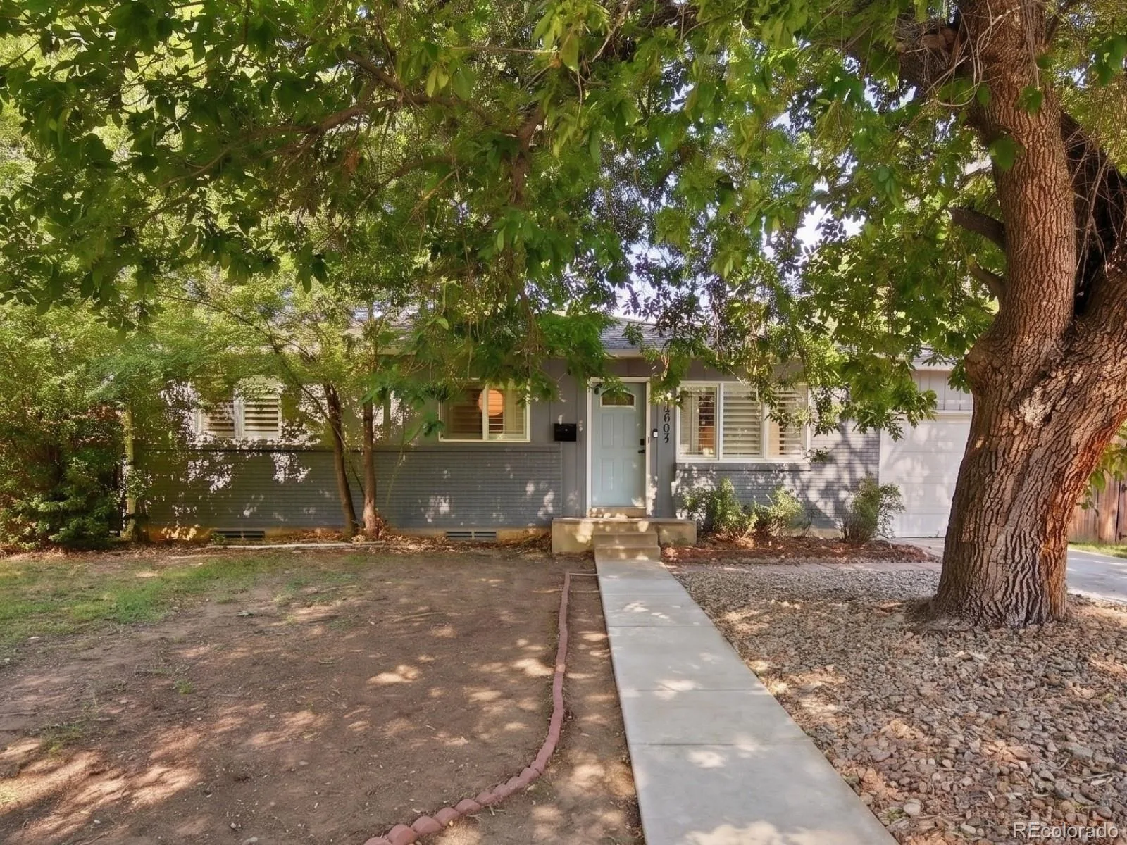 6593 Moore Street Arvada CO 80004 MLS #REC4973071 06182026232651 1600 38