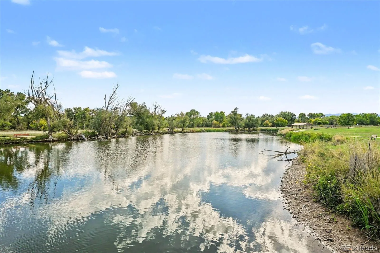 2489 S Brentwood Street Denver CO 80227 | MLS #REC4973854 09232026053021 1600 31
