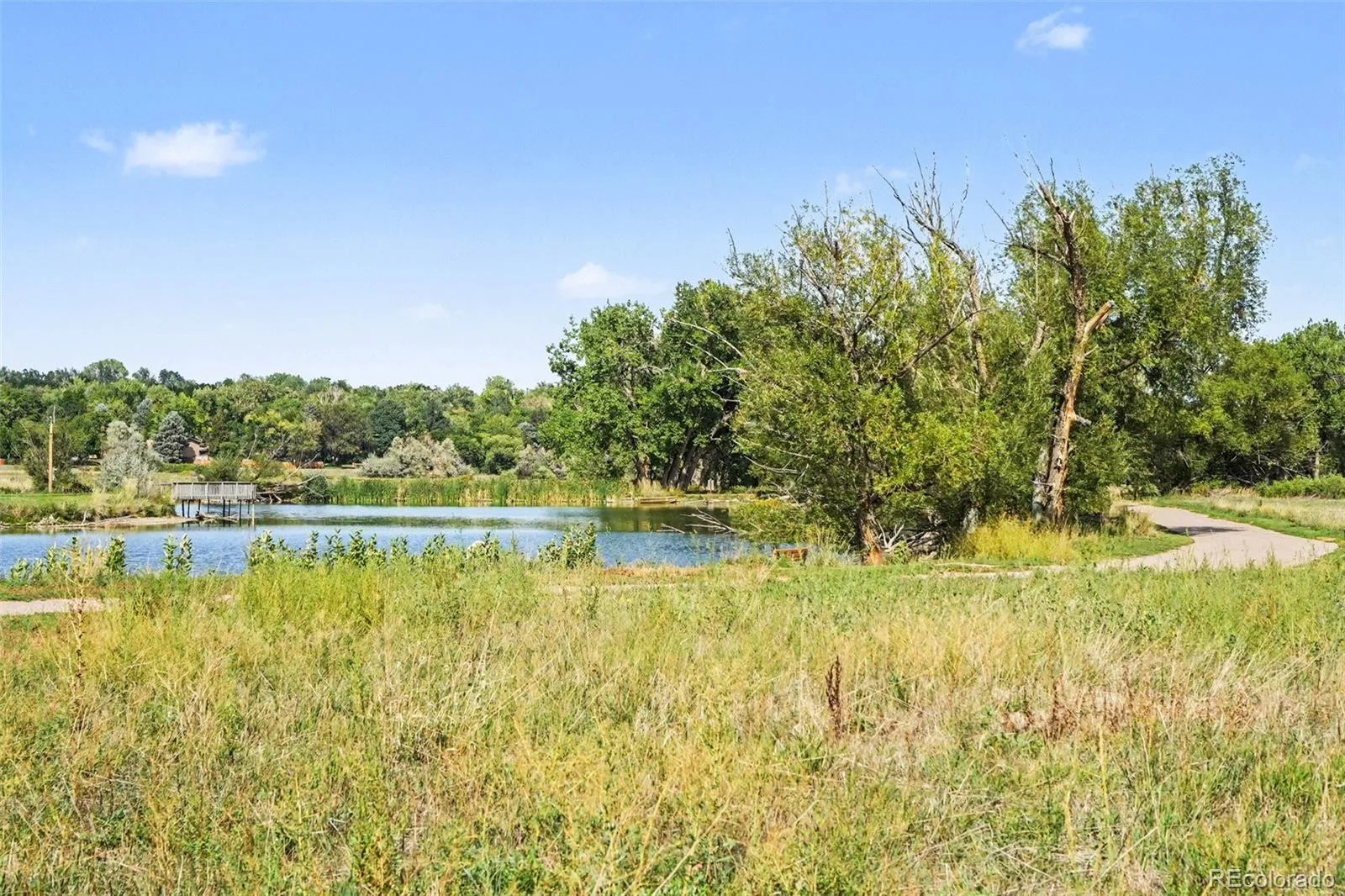 2489 S Brentwood Street Denver CO 80227 | MLS #REC4973854 09232026053021 1600 33