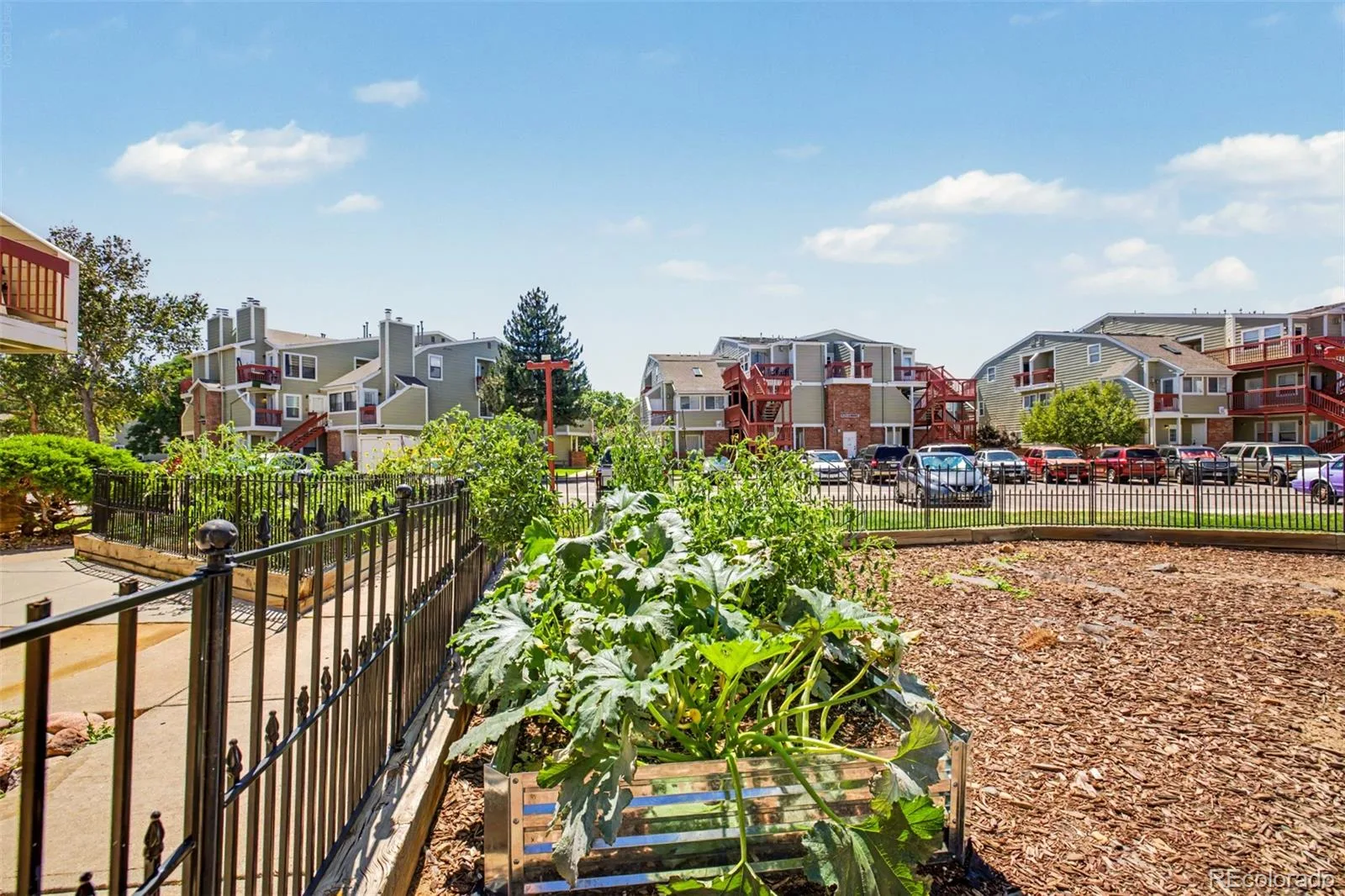 960 S Dawson Way #1 Aurora CO 80012 | MLS #REC4974703 08262026123216 1600 11