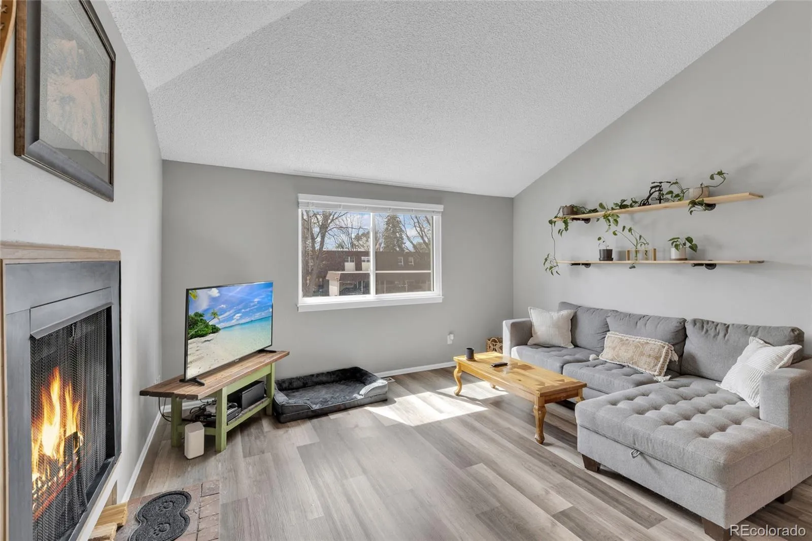 6565 E Arizona Avenue #8 Denver CO 80224 MLS #REC4979013 04012026072038 1600 3