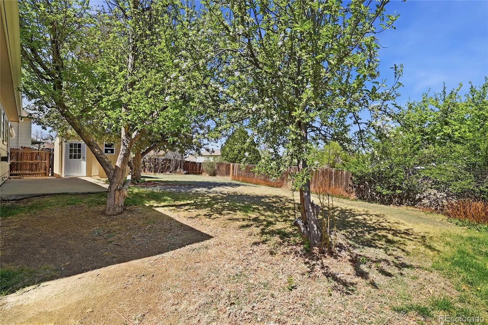 2008 S Idalia Street Aurora CO 80013 | MLS #REC4980668 06202026223821 1600 34